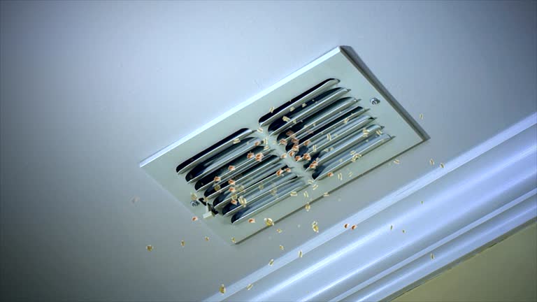 Best Ventilation Cleaning Services  in Pembroke, NC