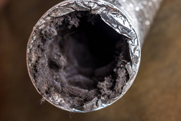 Best Commercial Air Duct Cleaning  in Pembroke, NC