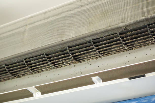 Best HVAC Duct Inspection Services  in Pembroke, NC